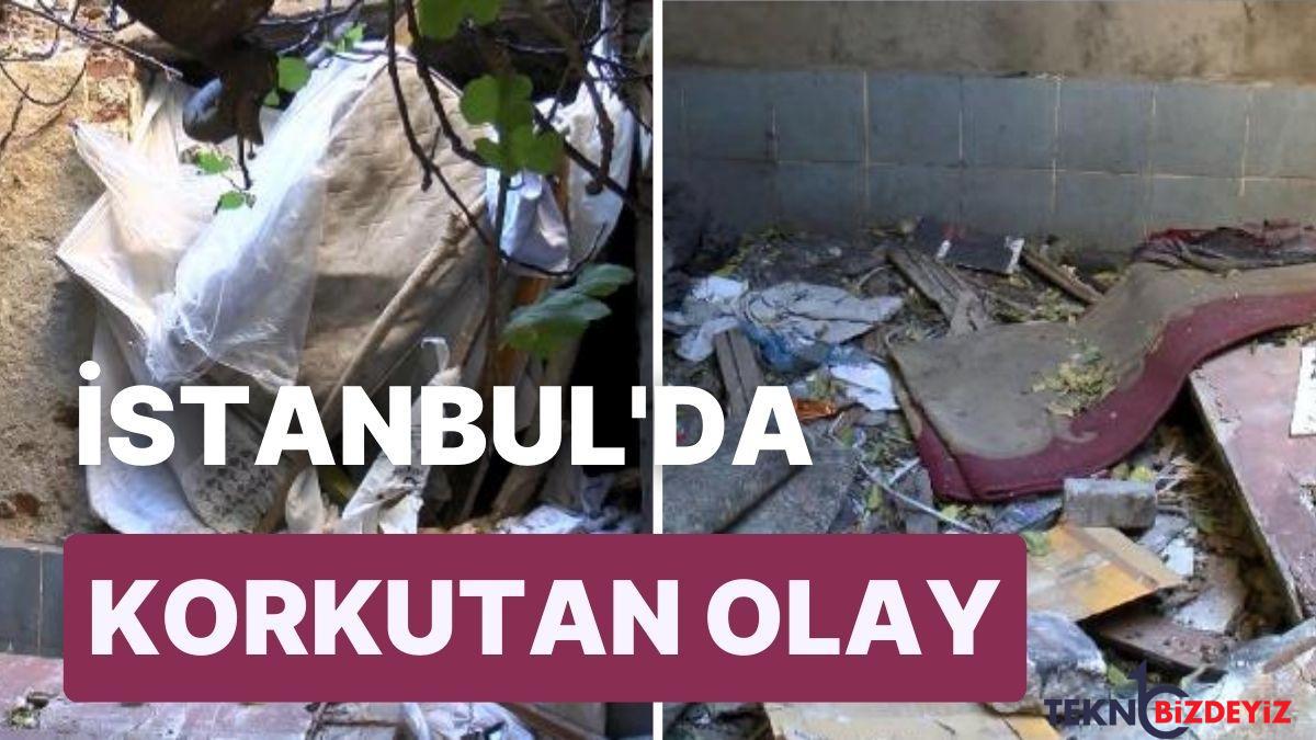 istanbulda vahim olay kafatasi ve insan kemikleri bulundu ibSiLF28