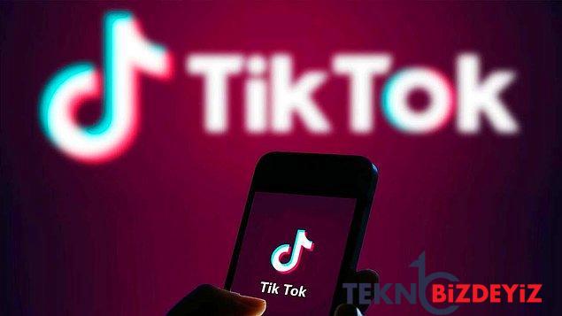 nijeryali 2 tiktok fenomeni cektikleri goruntude valiye hakaret ettikleri icin kirbac cezasina carptirildi 0 bZGEfVyh