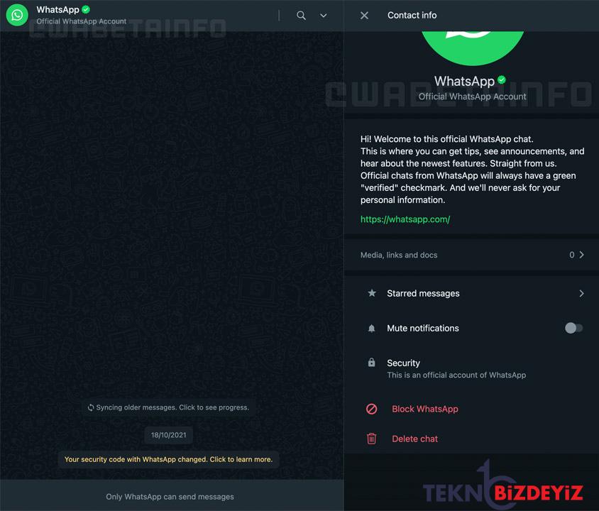whatsapp yeni ozellik geldiginde size ileti atacak 0 OyfuiIdh