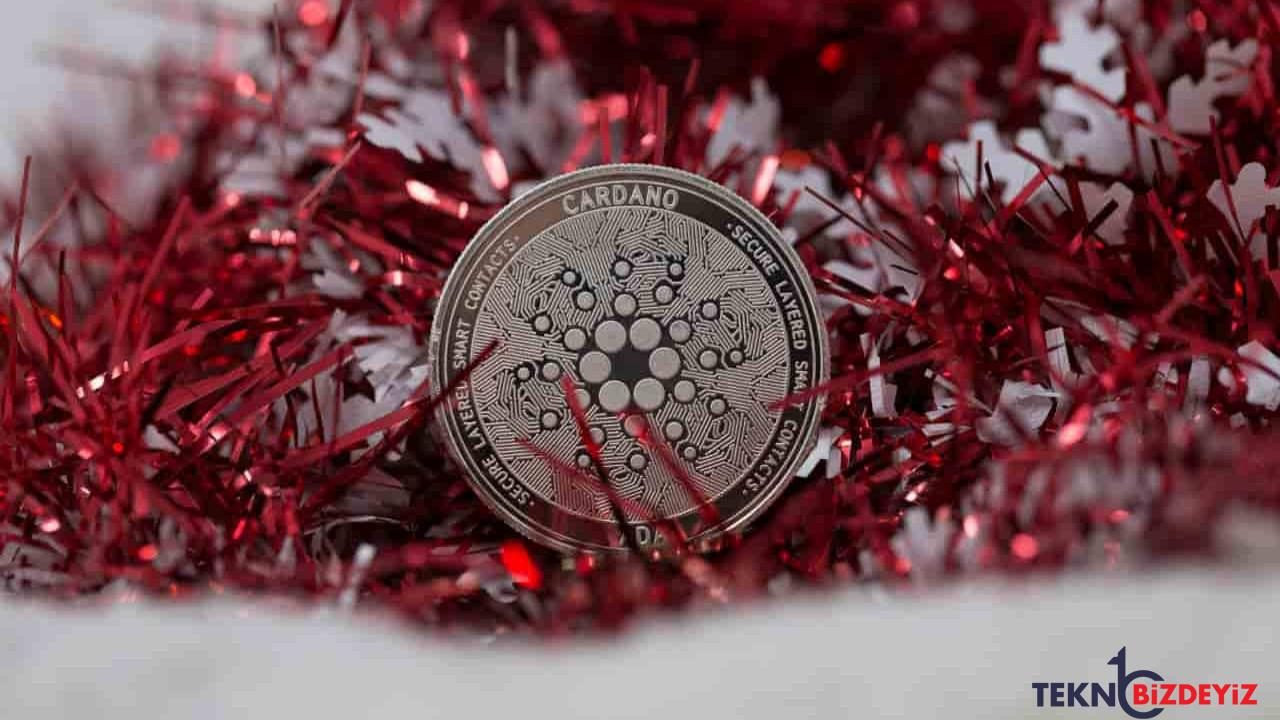 algoritma 2022 noel gunu icin cardano fiyatini belirliyor