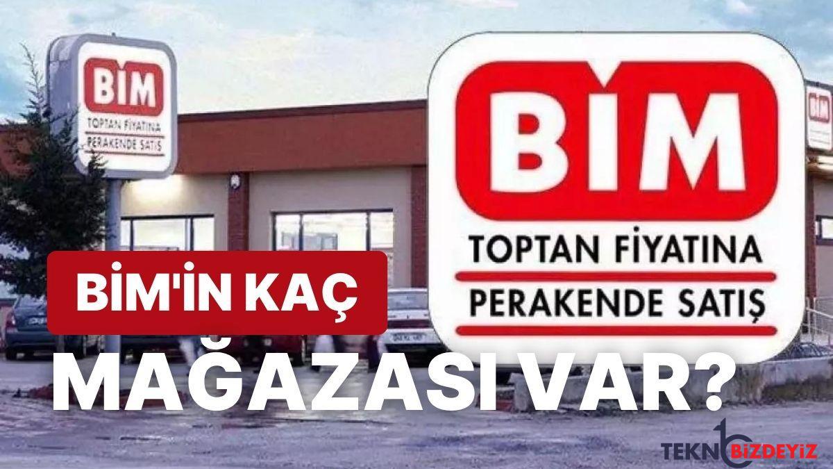 bim market zincirleri hakkinda merak edilenler bim kimin sahibi kim bimin kac magazasi var Fj2bX52m