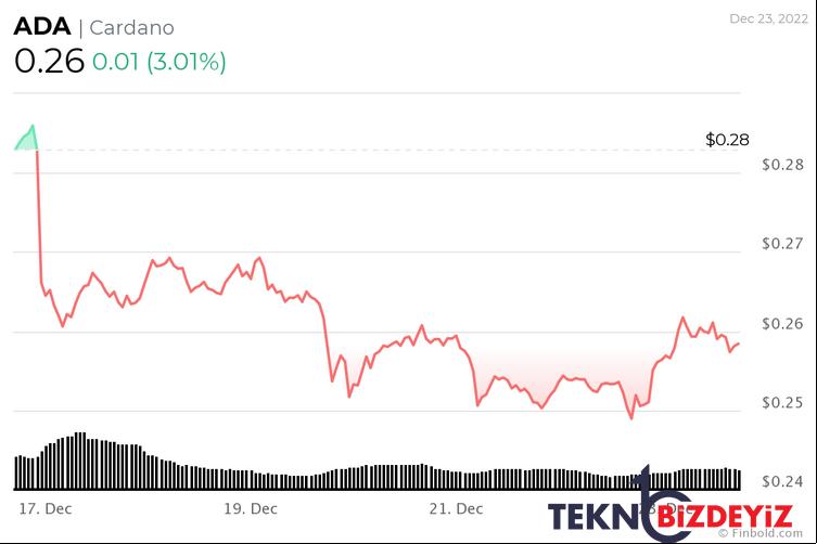 cardano zorlu yila ragmen 2022de goz kamastirdi 1