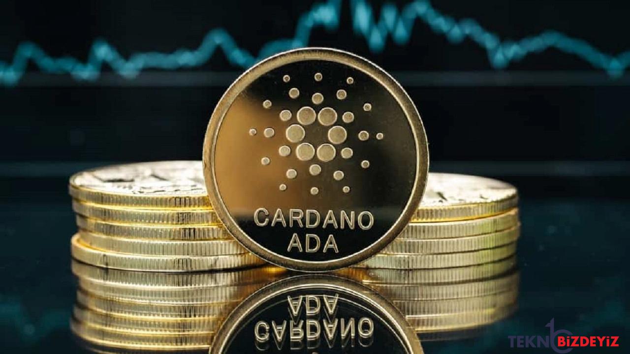 cardano zorlu yila ragmen 2022de goz kamastirdi