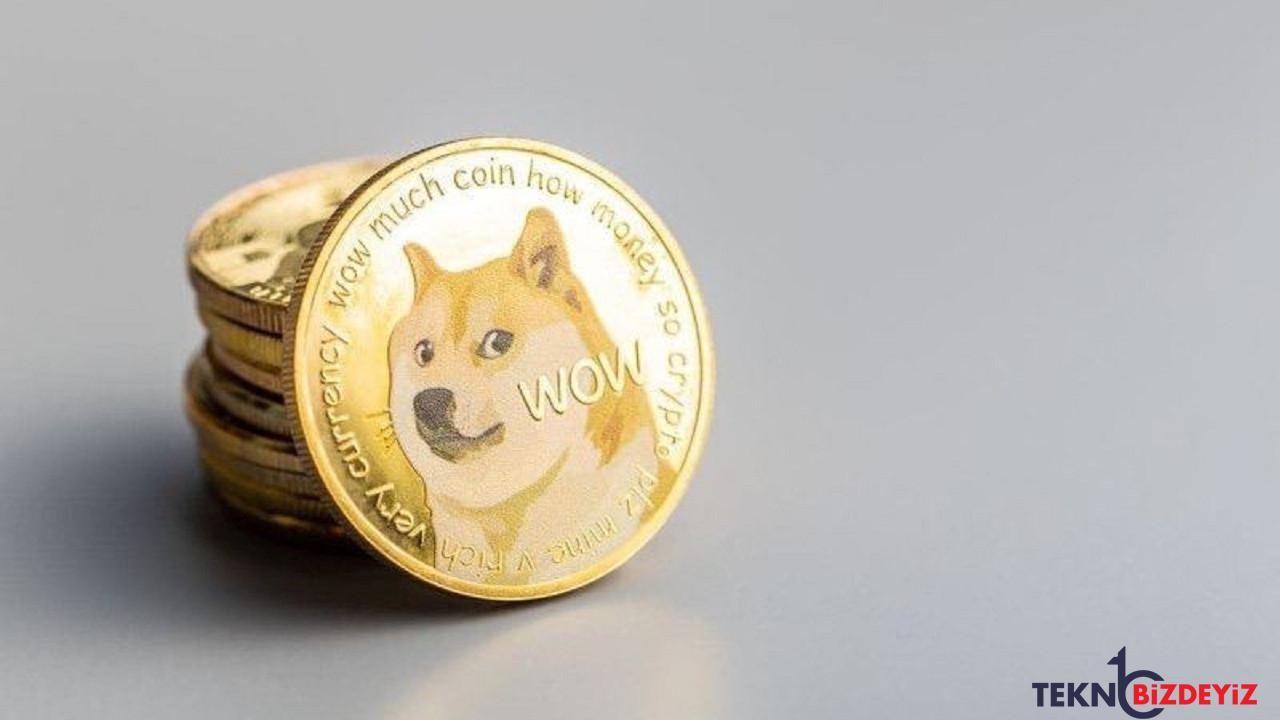 doge sahiplerinin yarisindan fazlasi karda 2023 nasil olacak KGcCkeqK