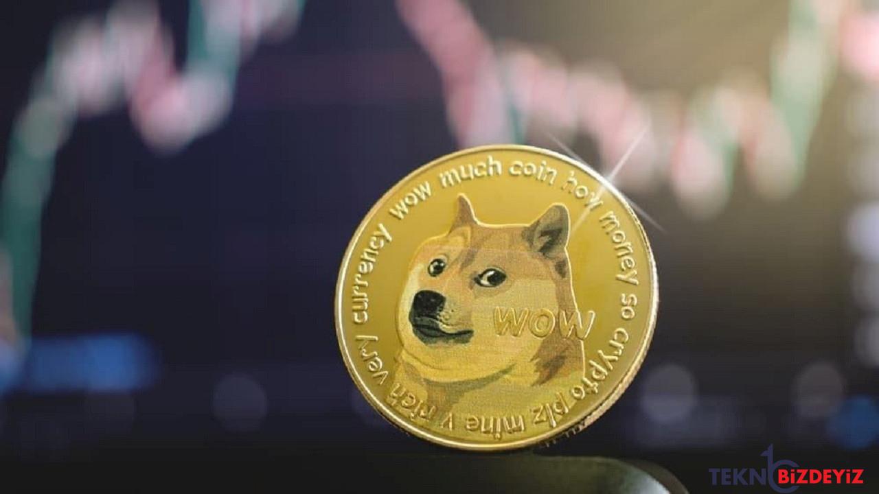 dogecoin bir gunde 1 milyar dolar eridi sirada ne var 7Rb7Xd62