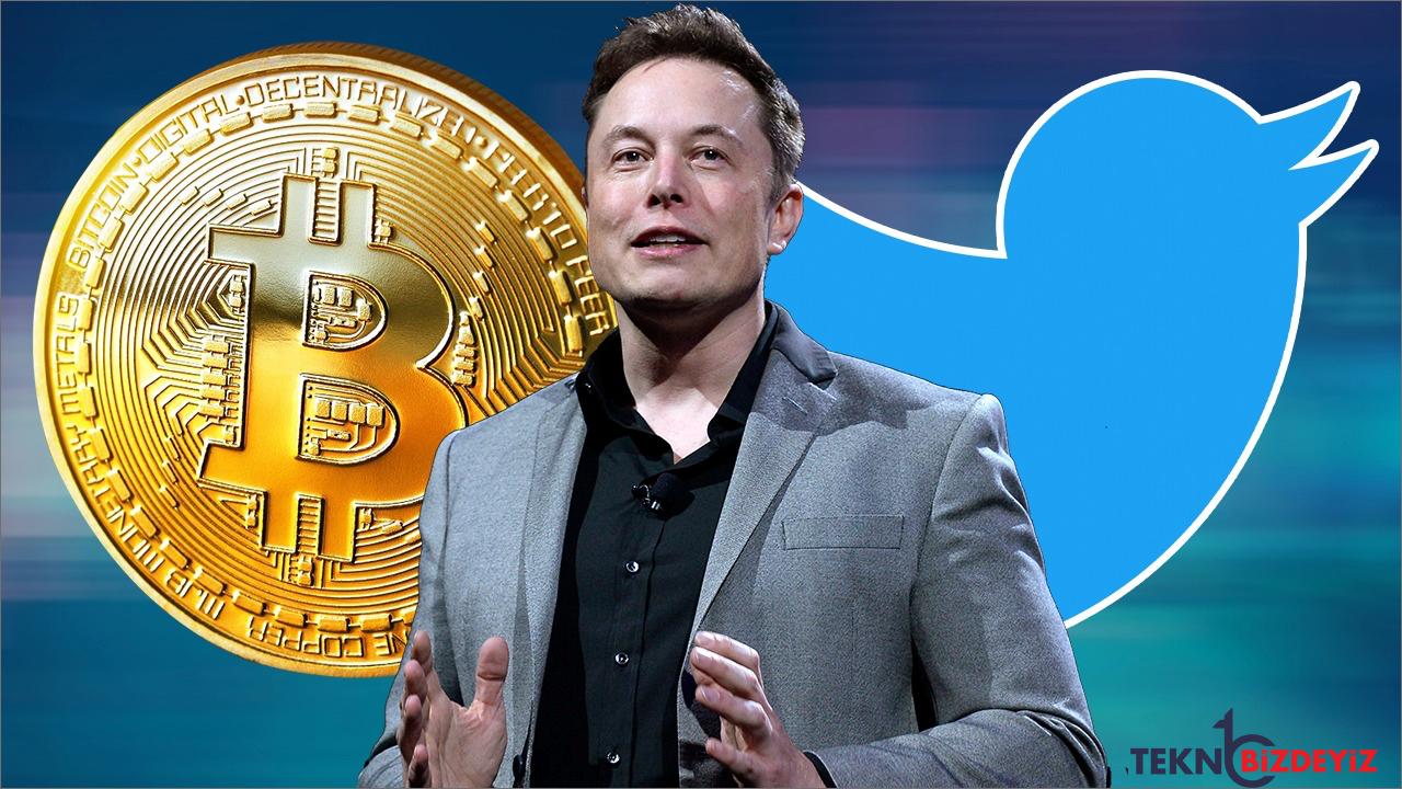 elon musk twitterdan takip etti kripto para borsasi oynadi ZTQgGk4R