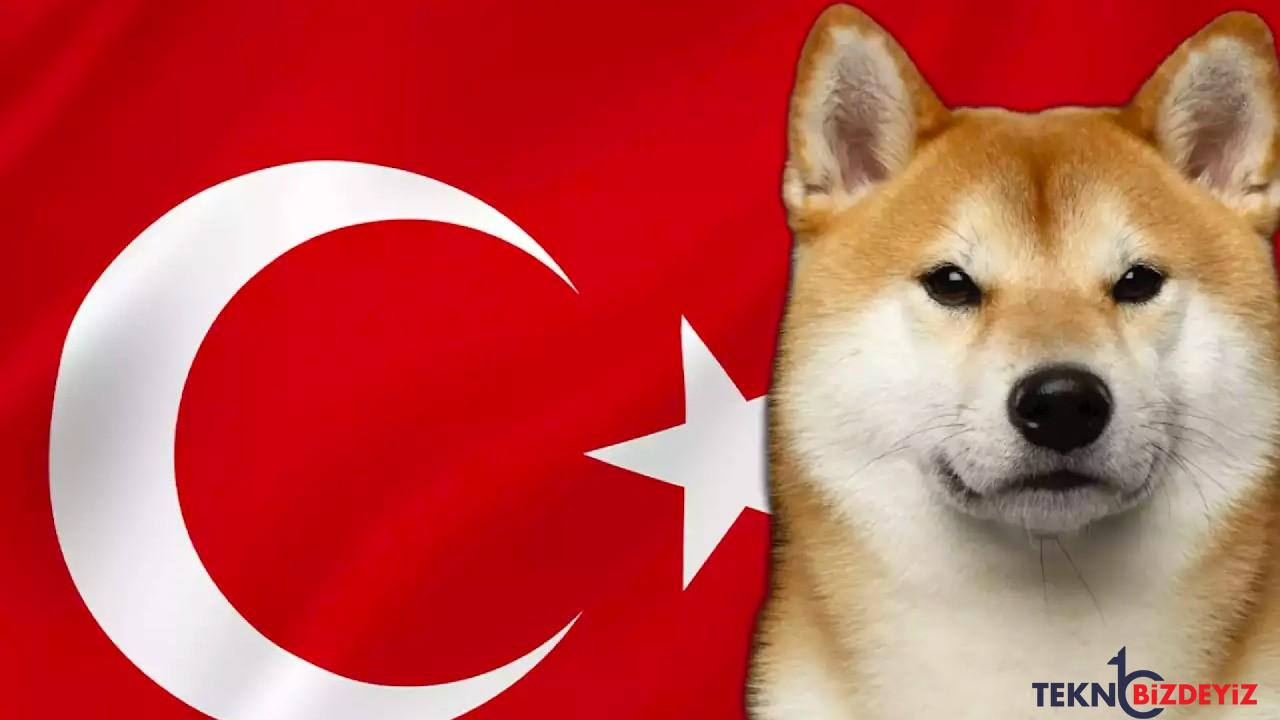 turklerden dogecoine agir ilgi zOCiYC1k