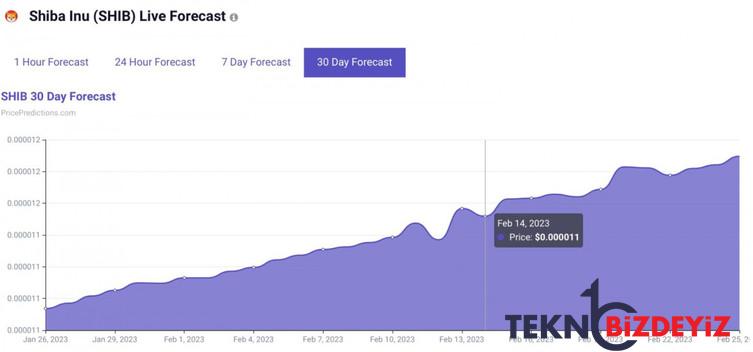 aigoritma 2023 sevgililer gunu icin shiba inu fiyatini belirledi 0 vN74qlNU