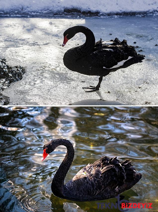 birebir noktadan cekilen fotograflarla karin ne kadar geciktigini gorun 1 TmZ7qWDm