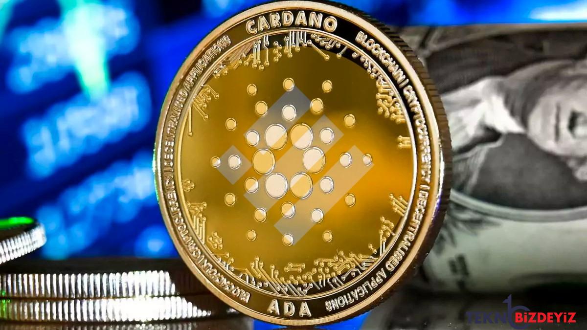 cardano kullanicilari ag degistirmeden busd kullanabilecek GghTQqBQ