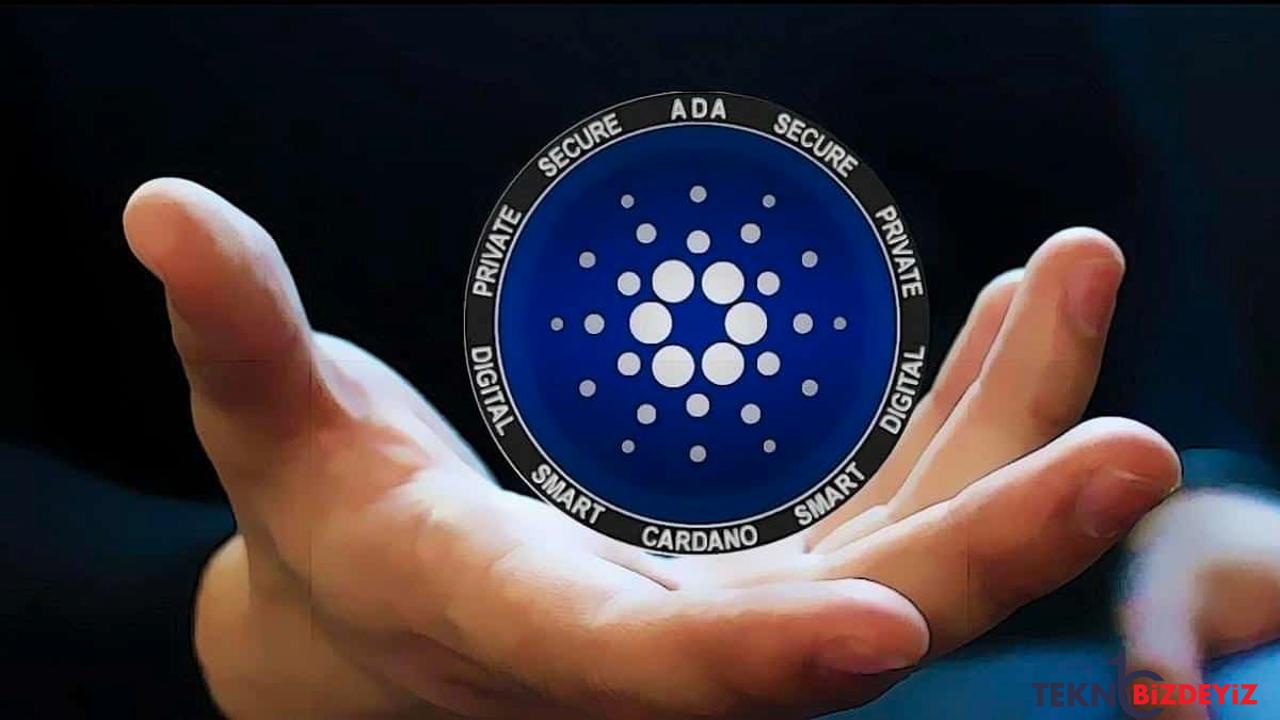 cardano toplam kilitli varligi yuzde 30 artti TjVgU1PY