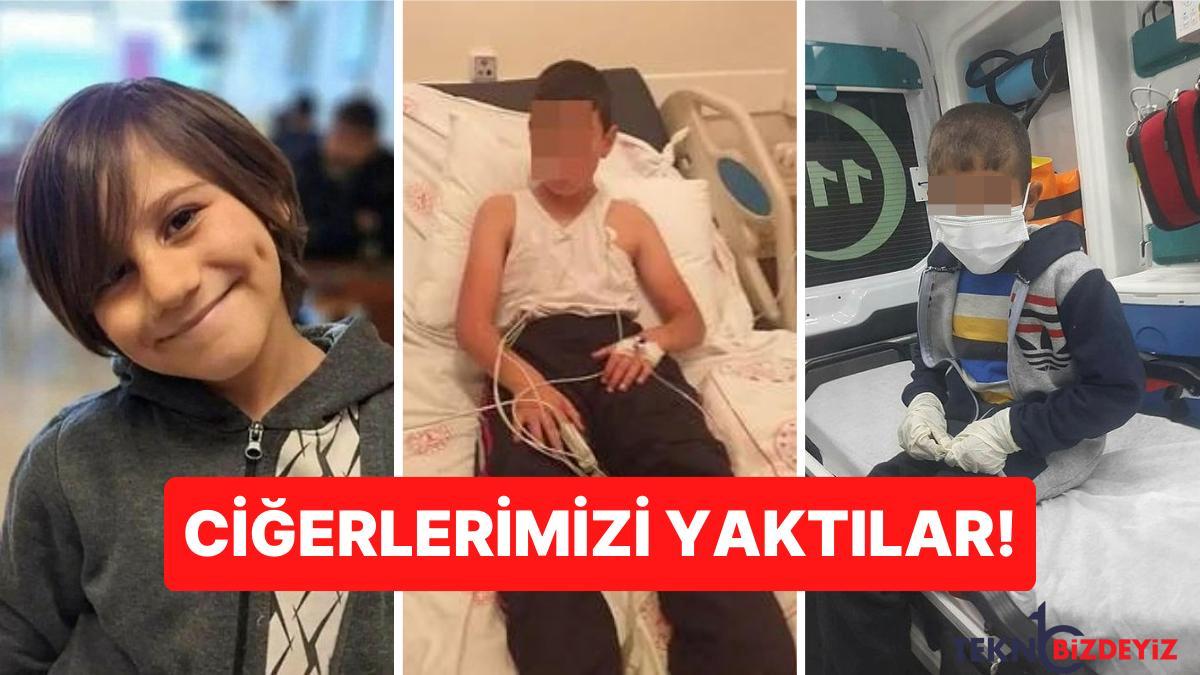 son yillarda basibos sokak kopeklerinin saldirisina ugrayarak yaralanan ve hayatlarini kaybeden cocuklar W99wzZdj