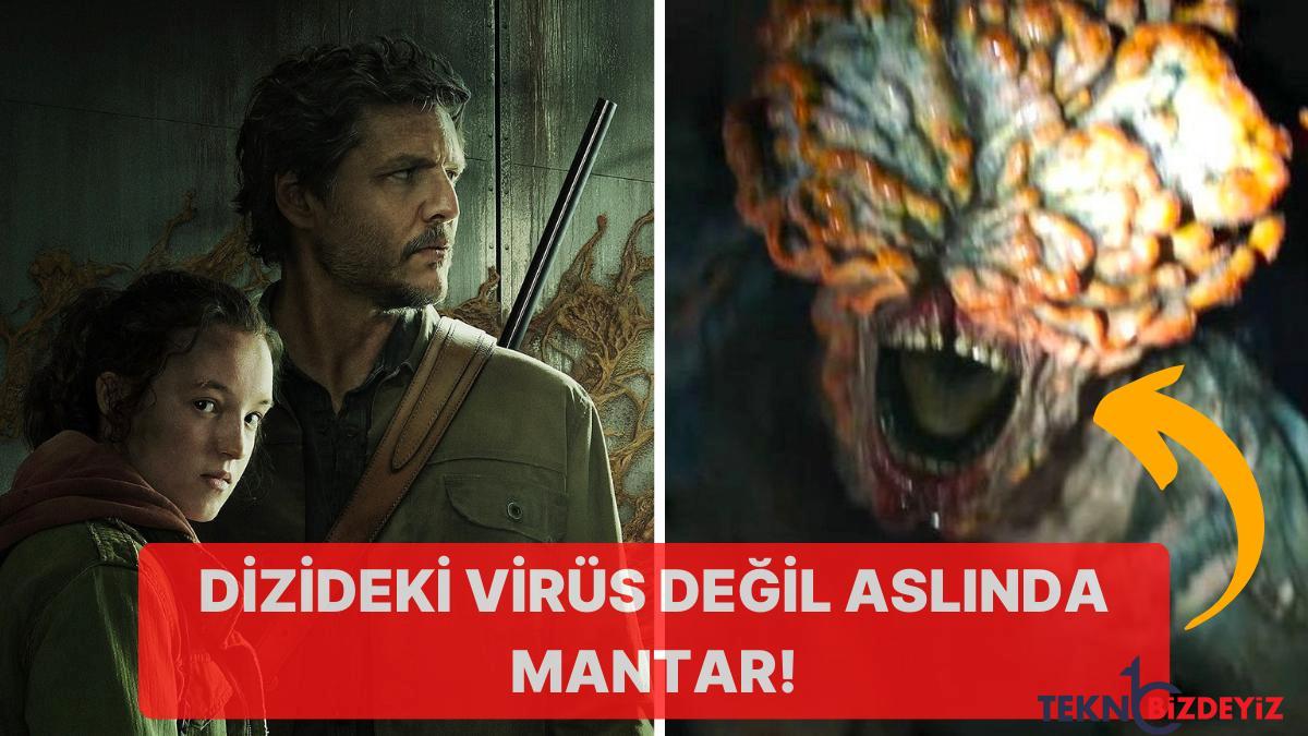 the last of us dizisinde mantar enfeksiyonu formunda bulasan zombi salgini gercek hayatta da yasanabilir XkncVSOX