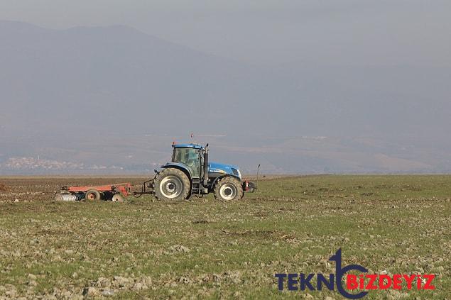 yanlis su idaresiyle kurumustu marmara golunde tarim basladi 1 kdEyqMi5