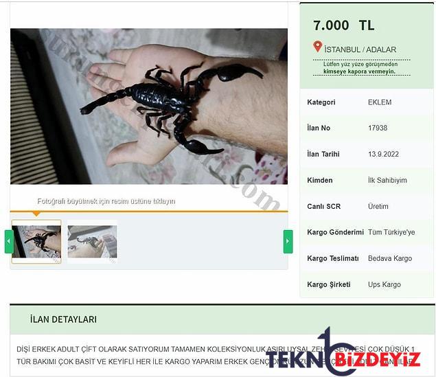 zehrinin litresi 10 milyon dolar sahibinden satilik kara akrep 1 c4JgEDE7