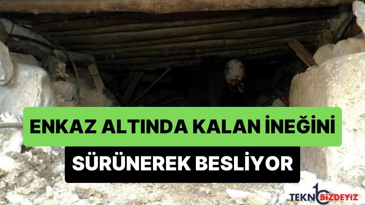 deprem felaketinin 11 gununde hala enkaz altinda olan inegini enkazin altinda surunerek besleyen bayan QJzKvAqS