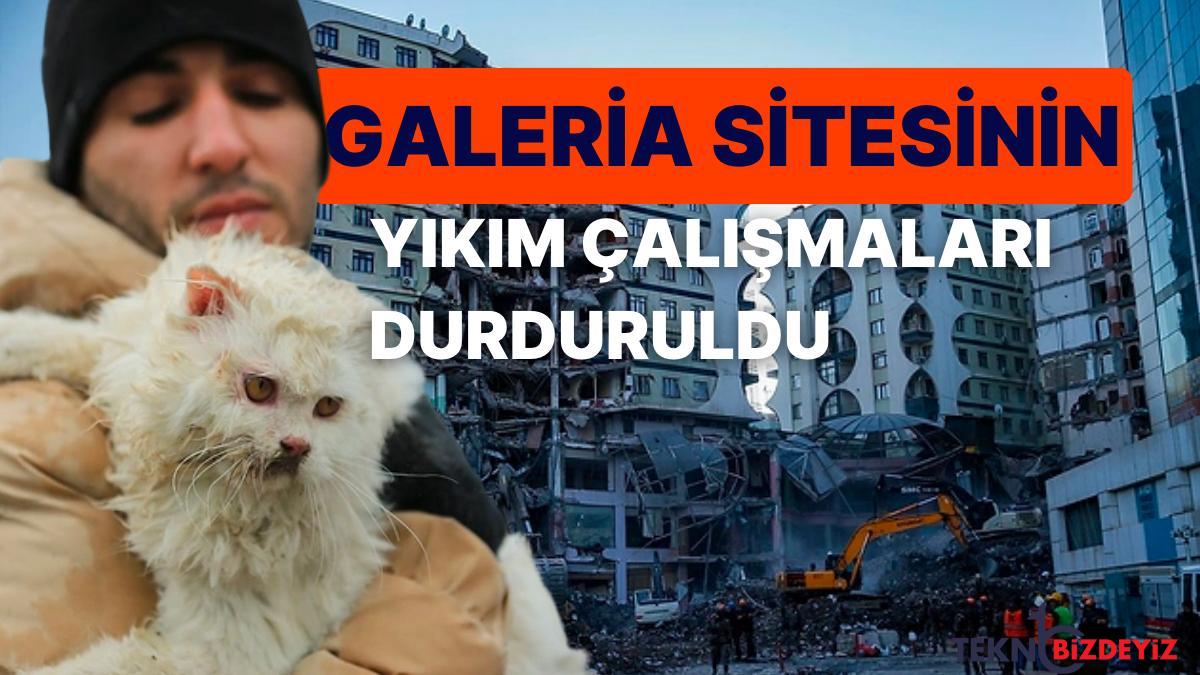 reaksiyonlar uzerine 14 hayvanin kurtarilmasi icin diyarbakirdaki galeria sitesinde yikim calismasi durduruldu