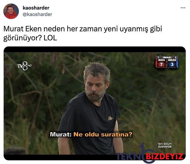 survivorin zorlugundan pes eden yarismacilari bir kenara birakip bizi mizaha doyuran goygoyseverler 13 1PdRDlE1