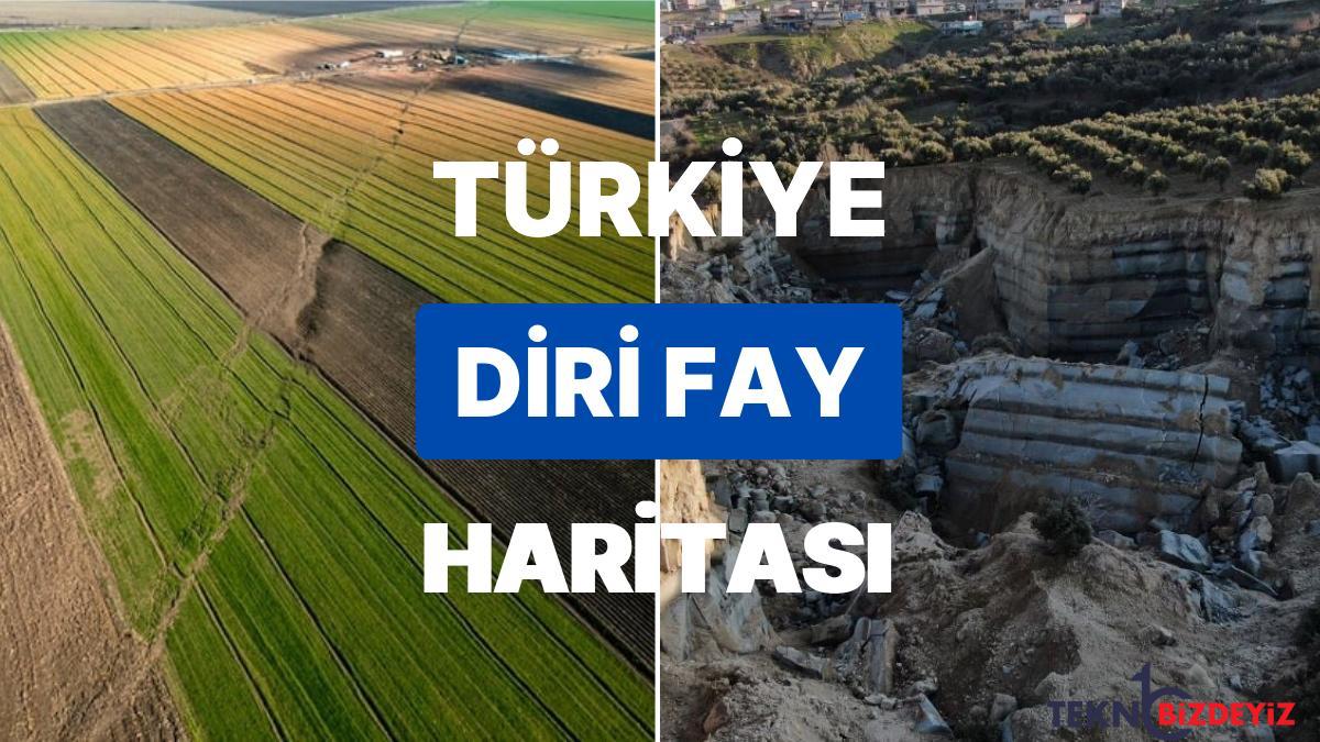 turkiye canli fay cizgileri haritasi yenilendi mta canli fay haritasinda hangi vilayetler ve ilceler var OnIuzfaK